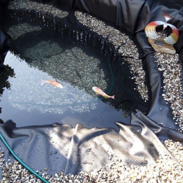 China Beckett Flexible Pre Cut PVC Pond liner